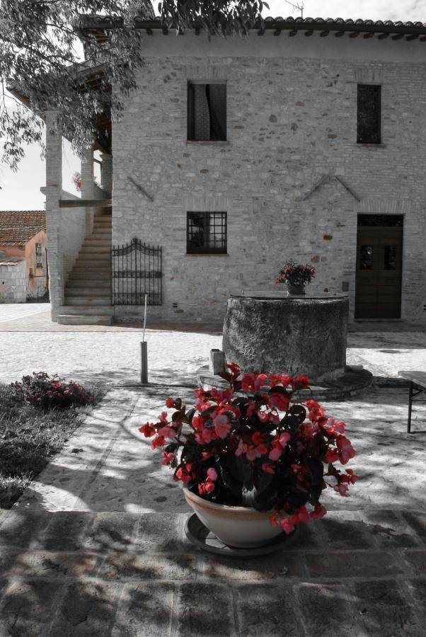Antiche Dimore San Felice スペッロ エクステリア 写真