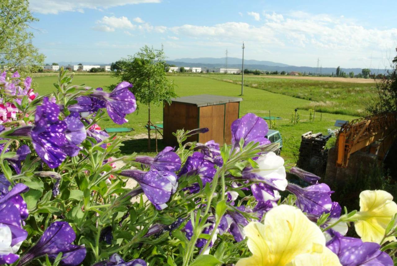 Antiche Dimore San Felice スペッロ エクステリア 写真